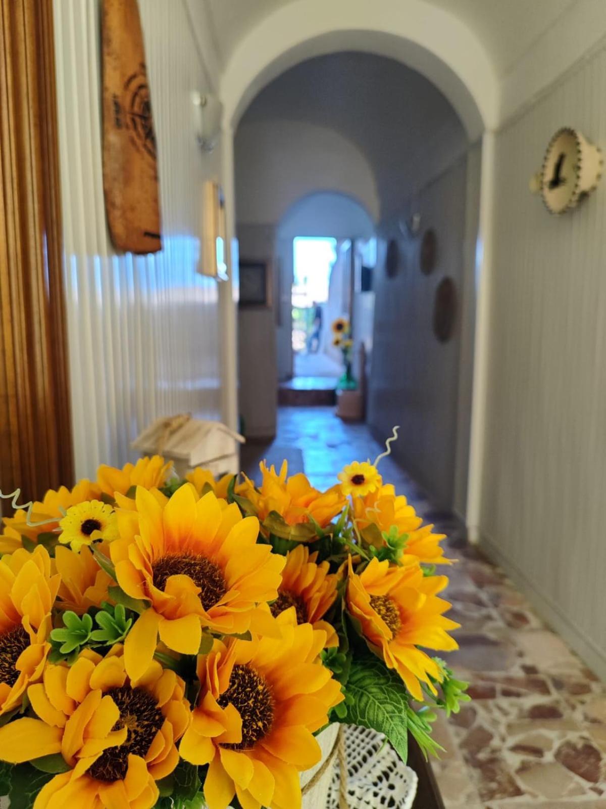 Casa Vacanze Con Giardino I Girasoli - Cin It 09006 - 9 C 2000 R4042- Sorso Esterno foto