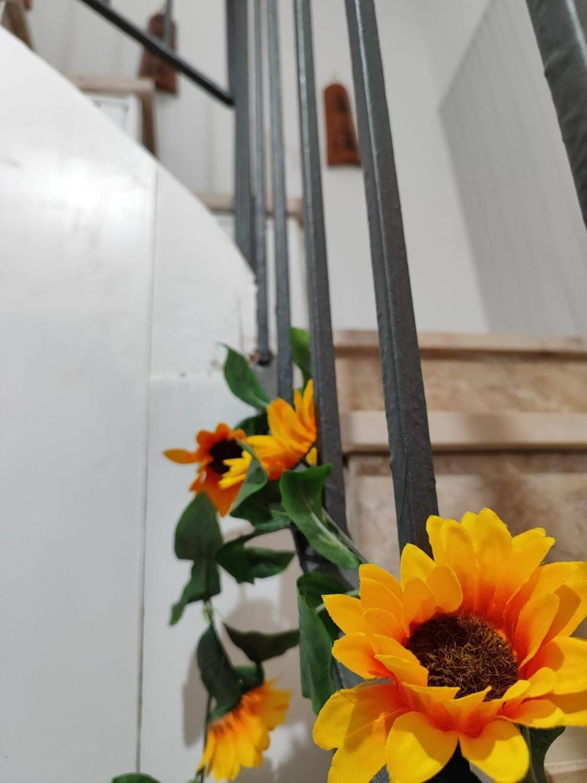 Casa Vacanze Con Giardino I Girasoli - Cin It 09006 - 9 C 2000 R4042- Sorso Esterno foto